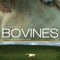 affiche-teaser-jpg - Bovines 