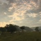 photo-4-du-film-bovines-jpg - Bovines 
