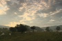photo-4-du-film-bovines-jpg