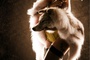 character-poster-lady-gaga-jpg