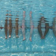 les-pieds-dans-l-eau-jpg