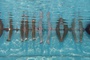 les-pieds-dans-l-eau-jpg