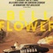 Affiche du film Bellflower  - Bellflower 