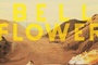 Affiche du film Bellflower 