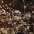 photo-5-du-film-eva-jpg