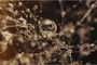 photo-5-du-film-eva-jpg