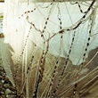 photo-2-du-film-busong-jpg