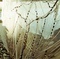 photo-2-du-film-busong-jpg - Busong 
