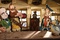 darwin-et-les-pirates-jpg