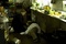ewan-mcgregor-2-jpg