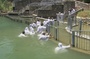 photo-du-film-water-jpg
