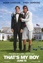 Affiche miniature du film Crazy Dad