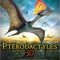 Affiche du film Ptérodactyles 3D : Dans le ciel des dinosaures   - Ptérodactyles 3D : Dans le ciel des dinosaures  