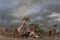 photo-3-du-film-les-pterodactyles-jpg