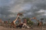 photo-3-du-film-les-pterodactyles-jpg