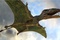 photo-du-film-les-pterodactyles-jpg