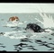 photo-2-du-film-the-plague-dog-jpg - The Plague Dog 