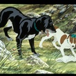 photo-3-du-film-the-plague-dog-jpg