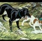 photo-3-du-film-the-plague-dog-jpg - The Plague Dog 
