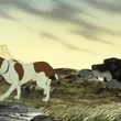 photo-7-du-film-the-plague-dog-jpg