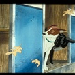 photo-du-film-the-plague-dog-jpg