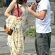 photo-tournage-blood-ties-marion-cotillard-guillaume-canet-png