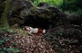 photo-3-du-film-a-pas-de-loup-jpg