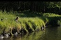 photo-4-du-film-a-pas-de-loup-jpg