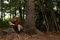 photo-7-du-film-a-pas-de-loup-jpg