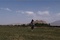 photo-15-du-film-le-fils-du-marchand-d-olives-jpg