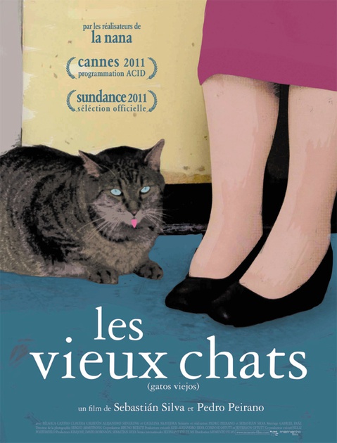 Affiche du film Les vieux chats 