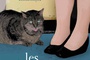 Affiche du film Les vieux chats 