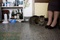 un-gros-chat-jpg