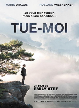 Affiche du film Tue-moi