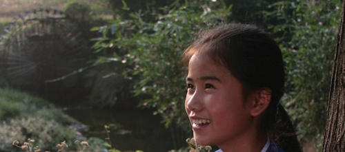 yang-jpg