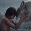 the-jungle-book-016-wc-0250-comp-v0439-right-86405-jpg