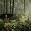 the-jungle-book-021-mj-0110-comp-v0442-right-00000-v02-jpg