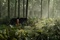 the-jungle-book-021-mj-0110-comp-v0442-right-00000-v02-jpg