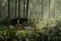 the-jungle-book-021-mj-0110-comp-v0442-right-00000-v02-jpg