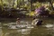 the-jungle-book-051-bf-0330-comp-v0266-right-87666-jpg