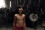 the-jungle-book-059-ct-0443-comp-v0213-right-86426-v2-jpg