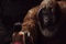 the-jungle-book-059-ct-0680-comp-v0312-right-86424-v2-jpg