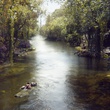 the-jungle-book-999-bf-0240-comp-v0246-right-1203-jpg