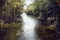the-jungle-book-999-bf-0240-comp-v0246-right-1203-jpg