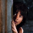 the-jungle-book-999-mv-0120-comp-v0056-right-1073-v2-jpg