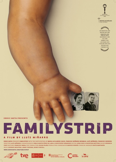 Affiche du film Familystrip  