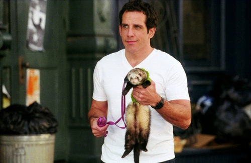 ben-stiller-et-son-furet-jpg