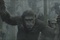 la-planete-des-singes-2-jpg