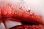 Affiche du film Antiviral 