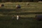 photo-10-du-film-summertime-jpg